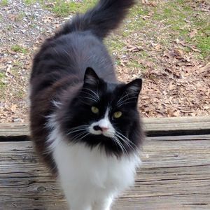 Meet your Posher, Richard